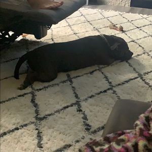 Meet your Posher, Tera